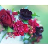 Wianek  ślubny  Starachowice