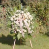 Wieniec pogrzebowy Starachowice