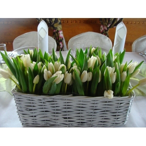 Ślubna dekoracja z tulipanów