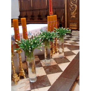 Ślubna dekoracja z tulipanów do kościoła