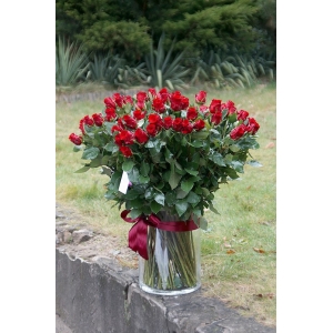 70 czerwonych róż w szklanym wazonie