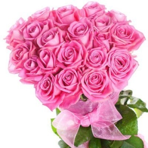 11różowych róż. Kwiaciarnia w Starachowicach