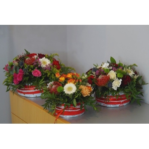 Flower Box Czerwone Korale Starachowice