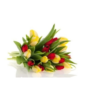 Bukiet z 21 tulipanów. Kwiaciarnia Starachowice