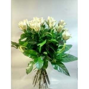 18 białych róż z dowozem. Kwiaciarnia Starachowice