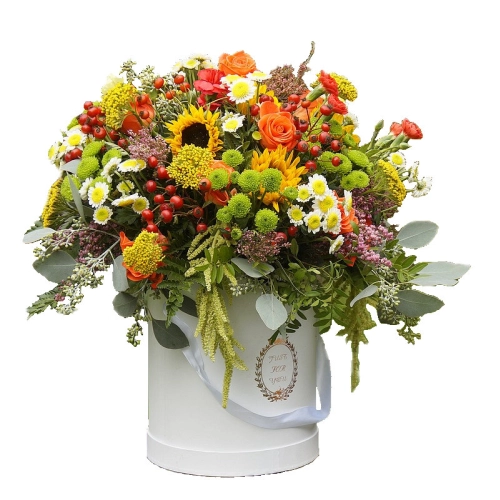 Kolorowy flower box. Kwiaciarnia w Starachowicach