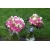Wiązanka ślubna - różowe róże z dodatkiem frezji.