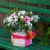 Flower Box. Kwiaciarnia Czerwone Korale. Starachowice