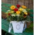 Flower Box. Czerwone Korale Starachowice