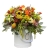 Kolorowy flower box. Kwiaciarnia w Starachowicach